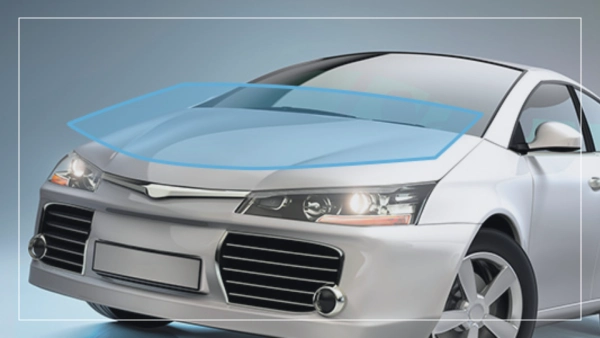 Vehicle Dampening Guide
