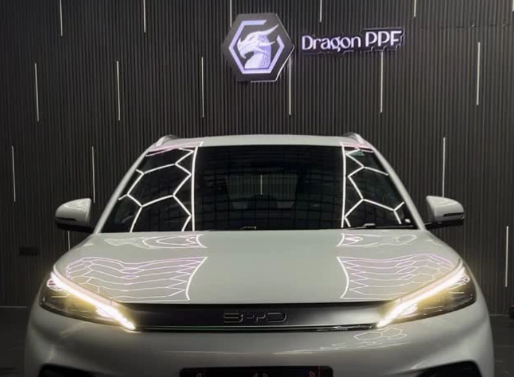 Detailing devils Jaipur 3.0