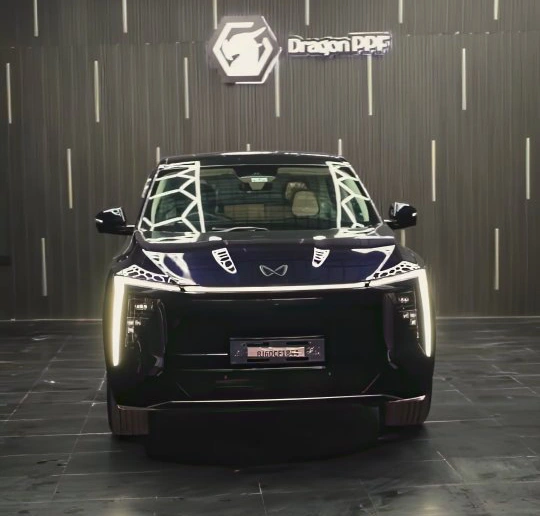 Detailing Devils Jaipur 3.0